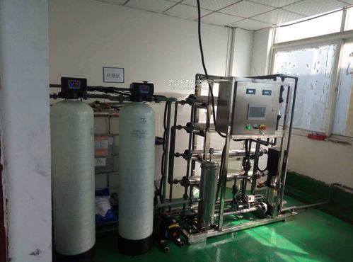 去離子水設備維修 軟化樹脂活性炭更換 找輝月環保水處理廠家