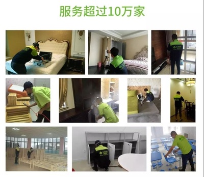 大林樹,室內除甲醛空氣凈化專家