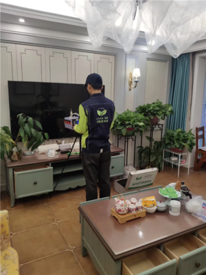 荊州可俐愛除甲醛觀瀾國際甲醛治理