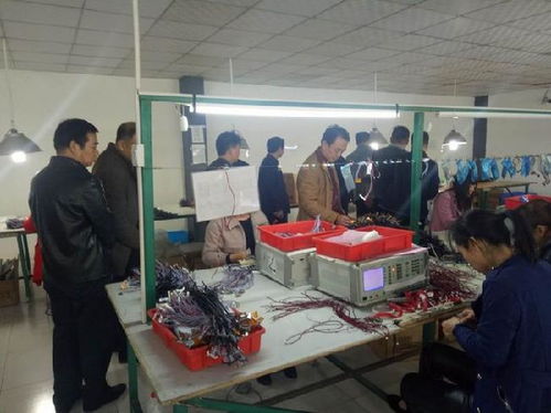 市產品質量整治督查組一行到我縣督查生產企業產品質量安全