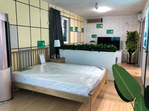 專注綠色居住環境,住綠科技受邀參展第二十屆高交會