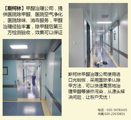 廣州室內消毒哪里有 廣州室內消毒 斯柯林專業服務高清圖片 高清大圖