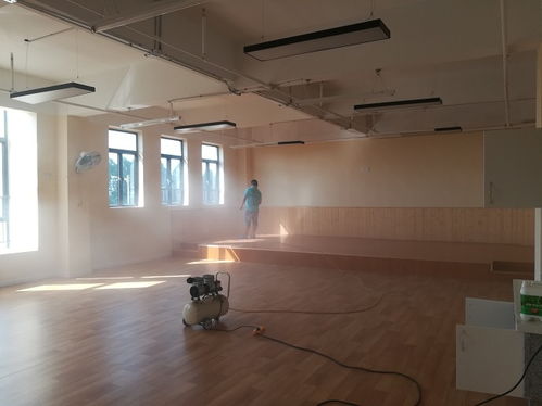 新家具有甲醛污染嗎 斯柯林去除甲醛 從化甲醛污染