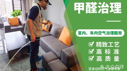 家裝去甲醛易拉寶|平面|宣傳物料|南林有雁.